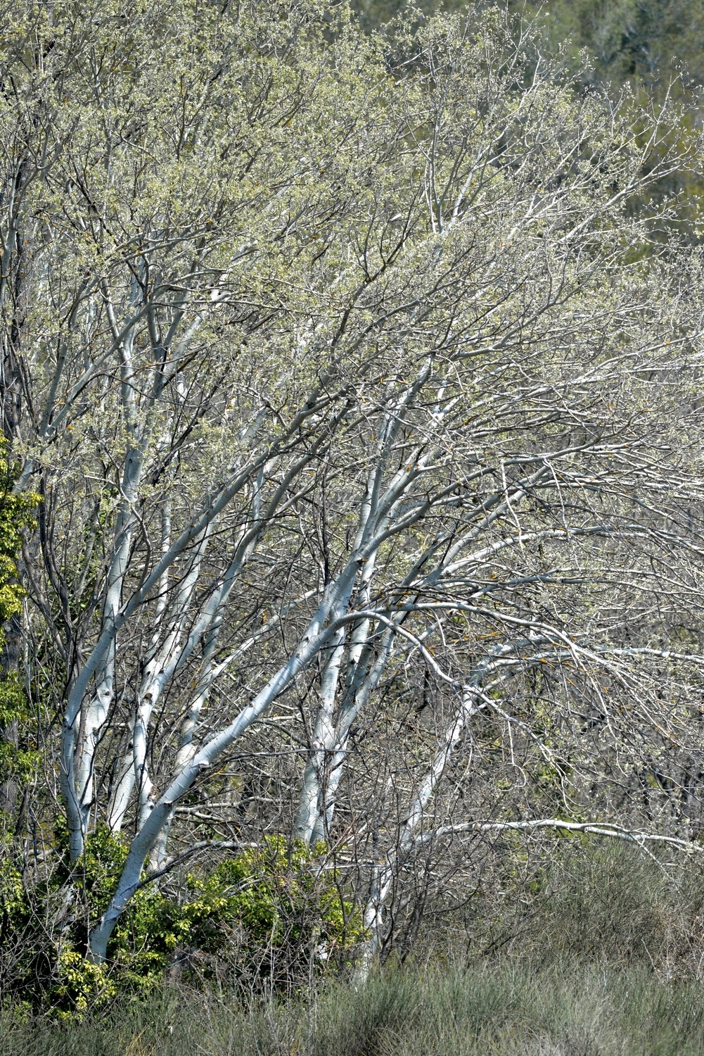 2021 d610 2 028 1
