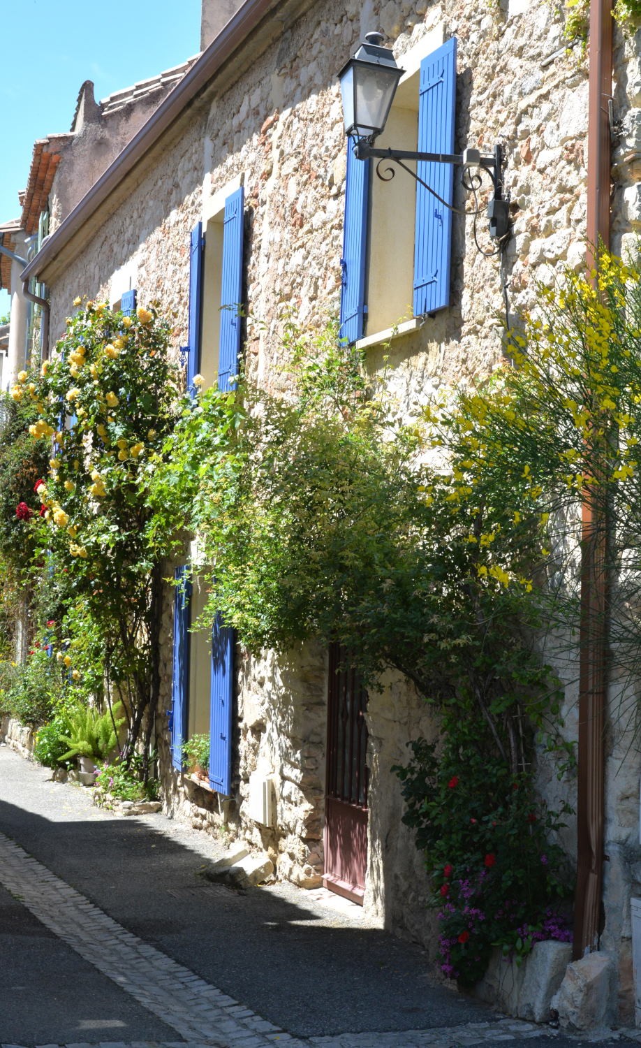 2021 d610 3 091 1 Le Barroux 