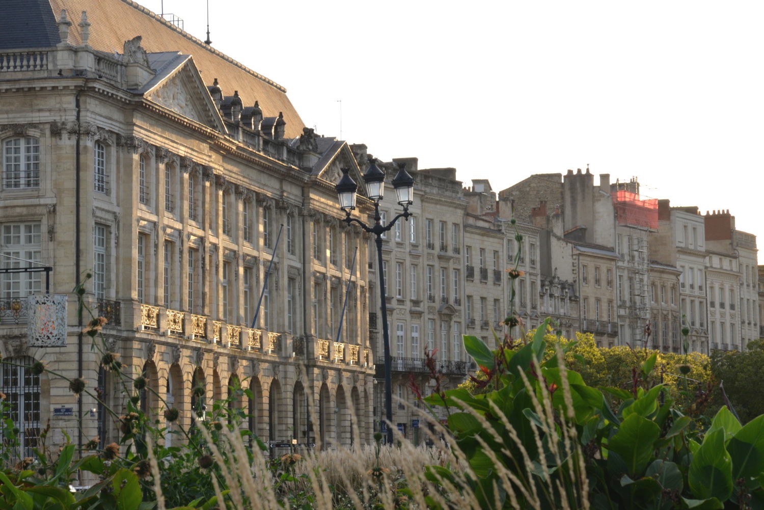 2021 d610 5 073 1 Bordeaux