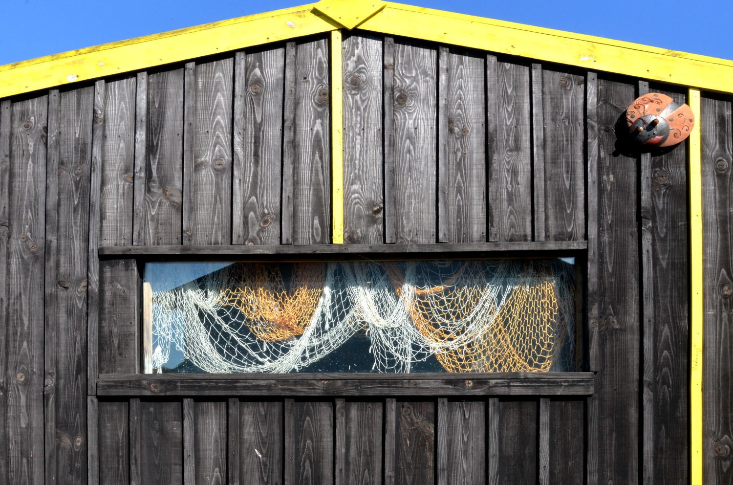 2021 d610 5 160 2 Mornac-sur-Seudre