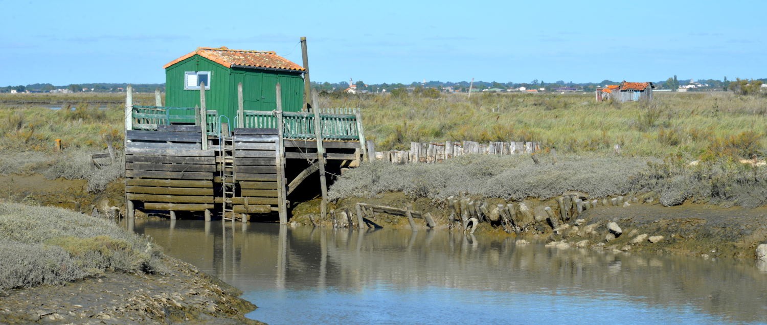 2021 d610 5 166 1 Mornac-sur-Seudre