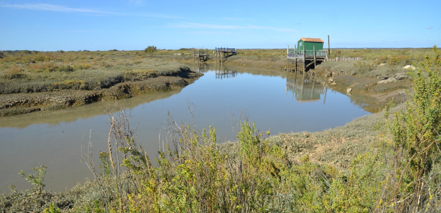 2021 d610 5 167 1 Mornac-sur-Seudre