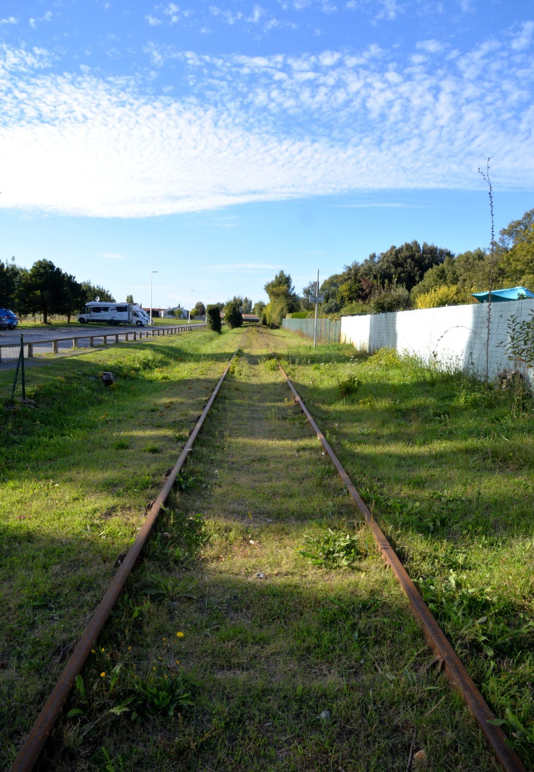 2021 d610 5 189 1 Mornac-sur-Seudre