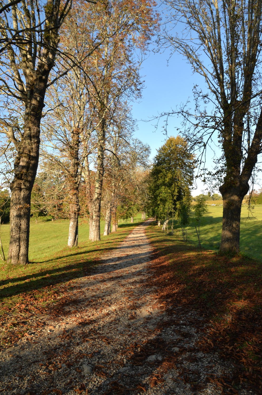2021 d610 5 200 1 château de Roquetaillade