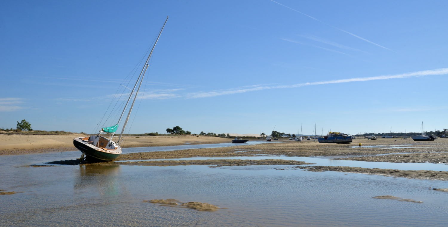2021 d610 5 202 1 Cap ferret