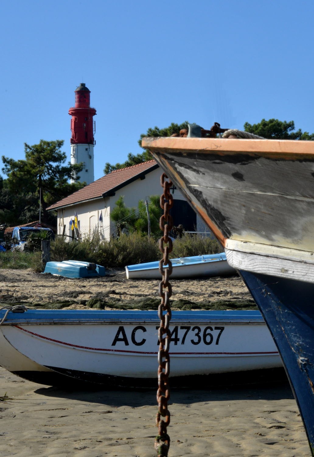2021 d610 5 210 1 Cap Ferret