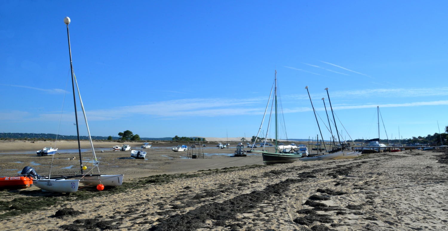 2021 d610 5 218 1 Cap Ferret