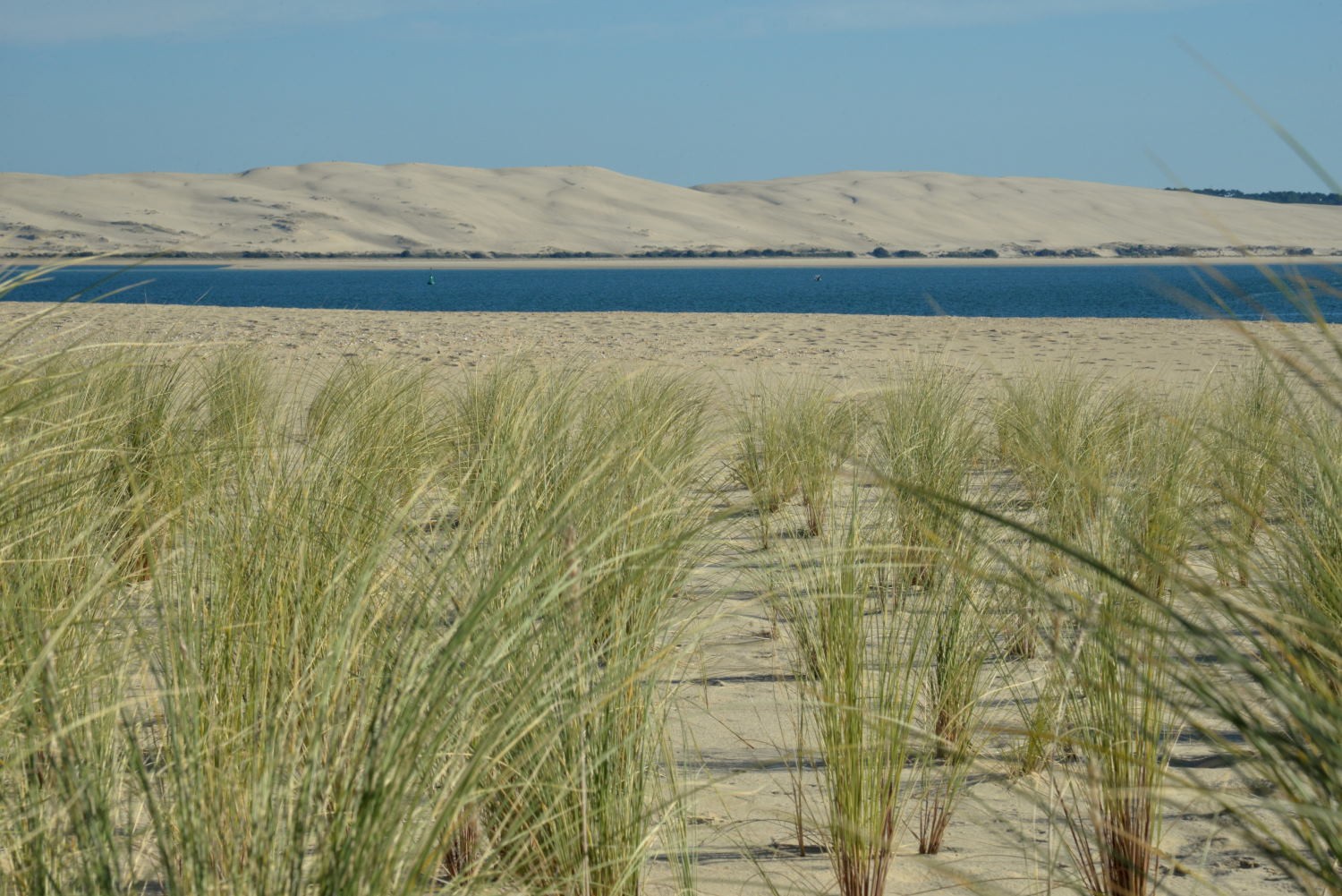 2021 d610 5 219 1 Dune du Pylat
