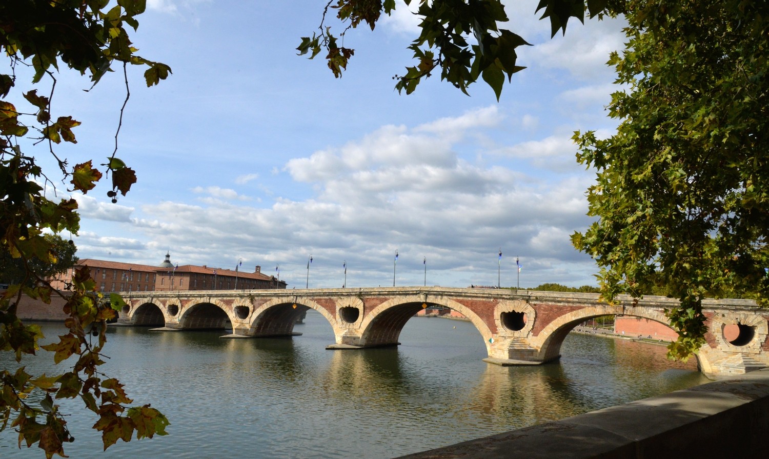 2021 d610 5 248 1 Toulouse Pont-Neuf