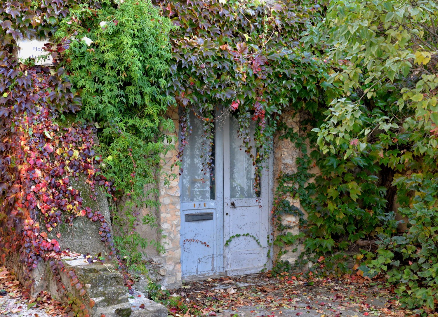 2021 d610 6 001 1 Puymeras 