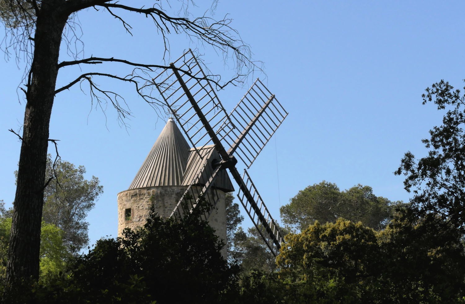 2022 vlux 2 094 1 fontvieille