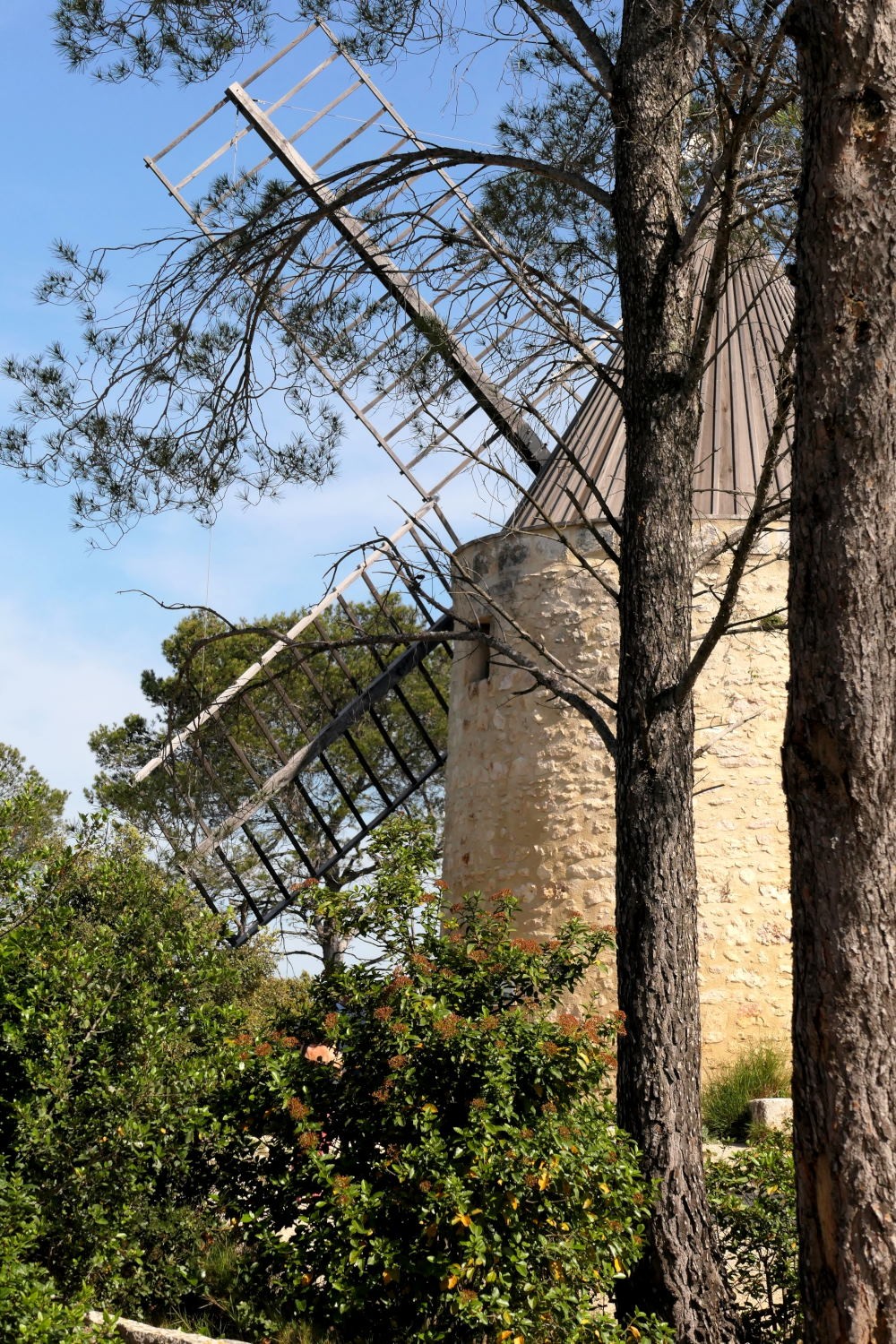 2022 vlux 2 099 1 Fontvieille