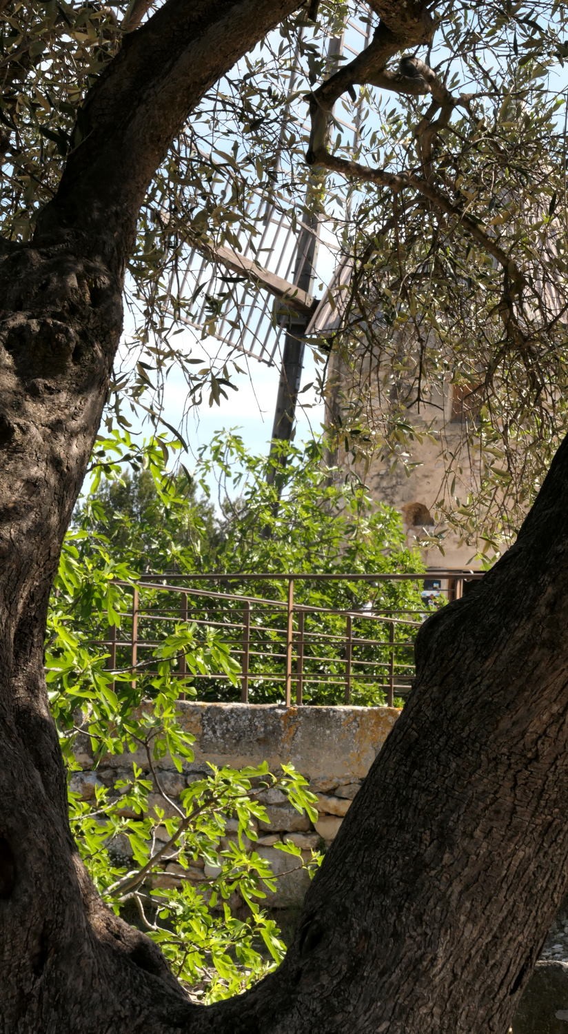2022 vlux 2 107 1 Fontvieille