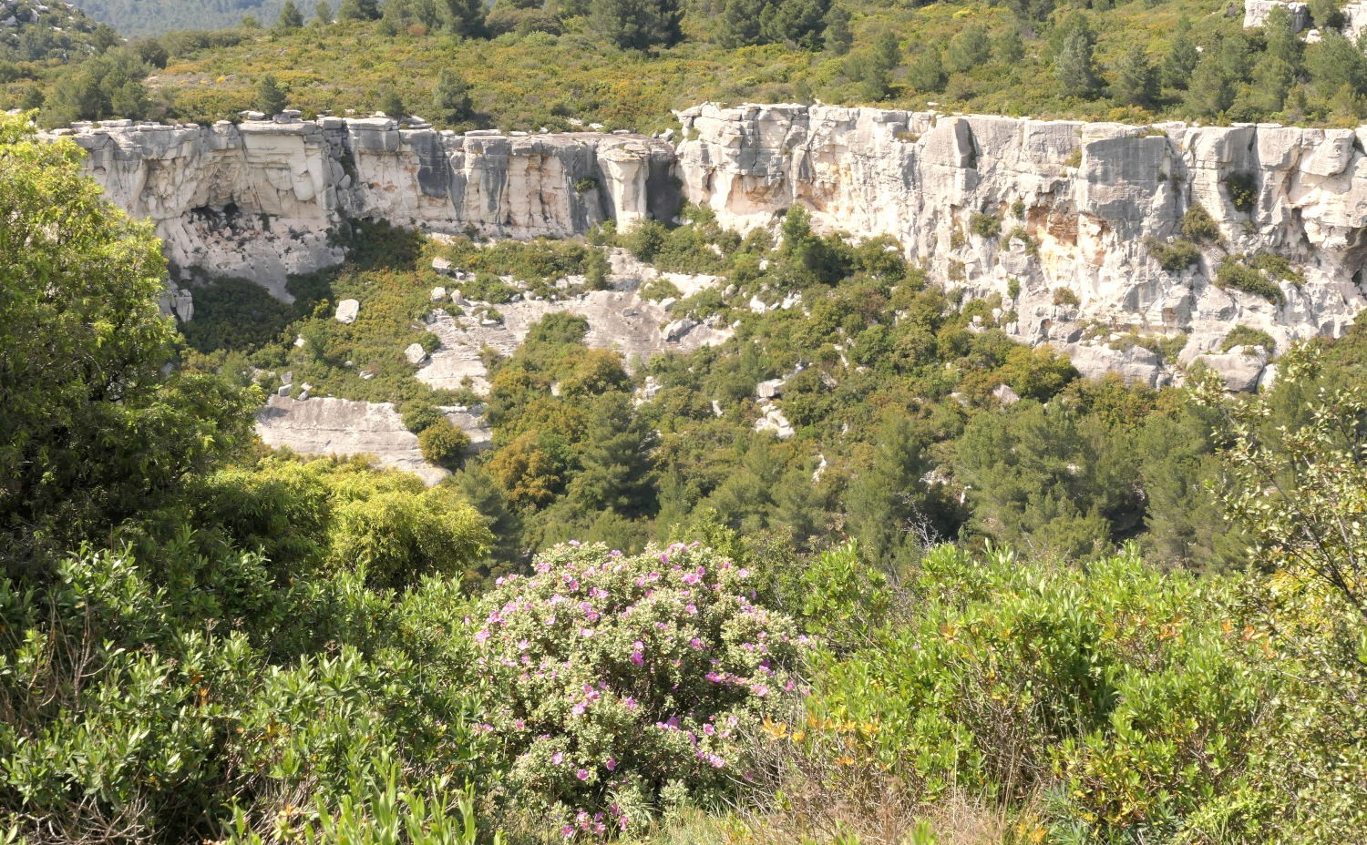 2022 vlux 2 123 1 Les Baux de Provence 2