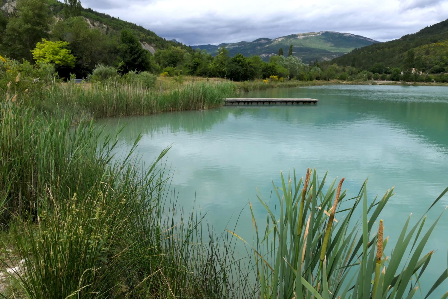 2022 vlux 3 184 1 plan d'eau du Pas des ondes 