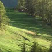 2024 vlux 1 115 1 Molines-en-Queyras 01