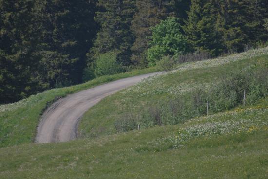 Chemin