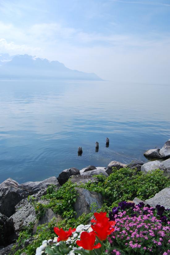 Léman