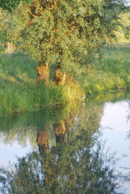 Reflet