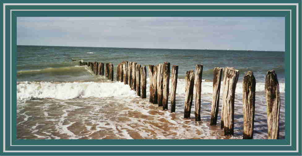 Dernier terrain vague...