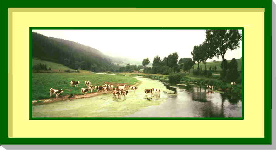 Doubs pâturage